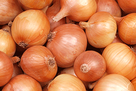 Pink Onion